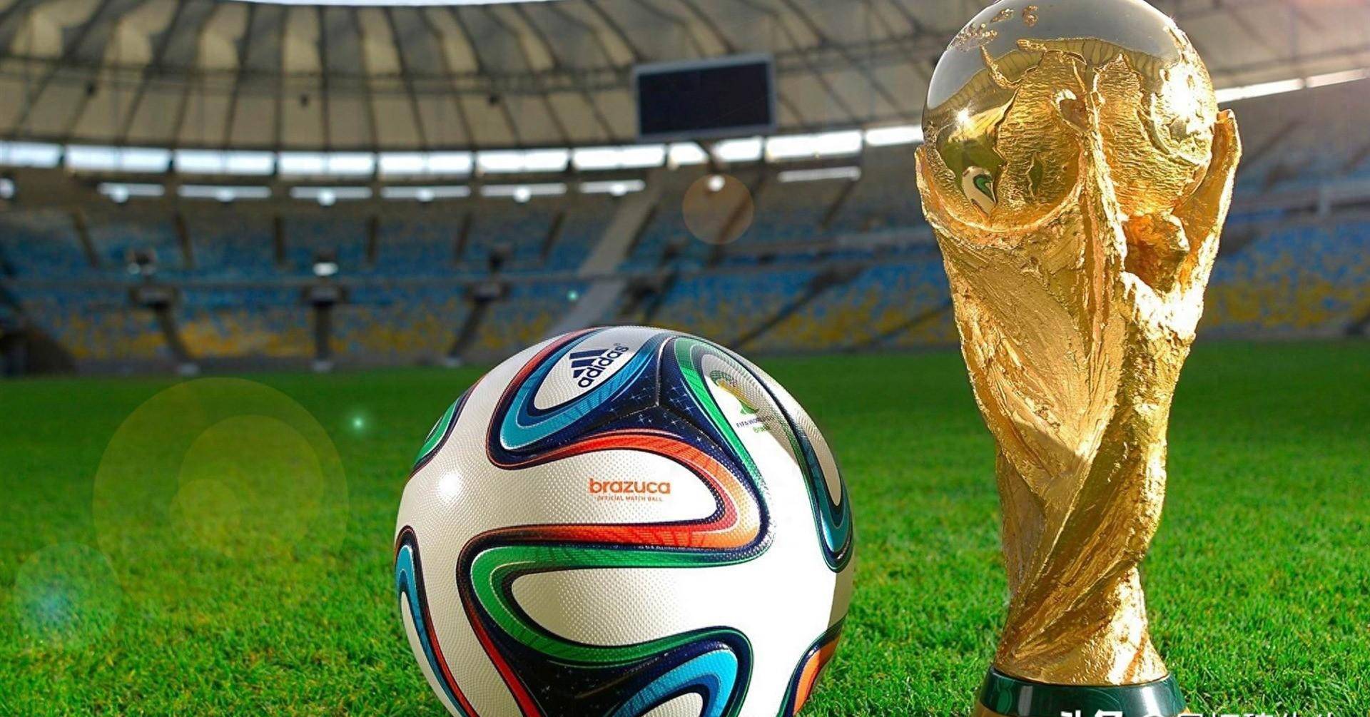 级不仅是他 级不仅是他