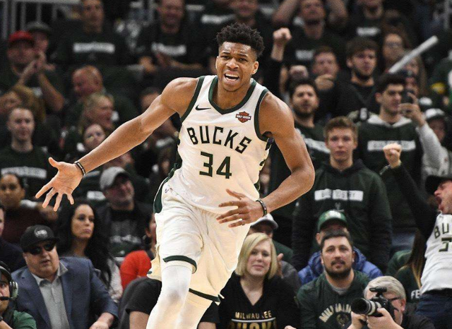 比如贝尔加 比如贝尔加