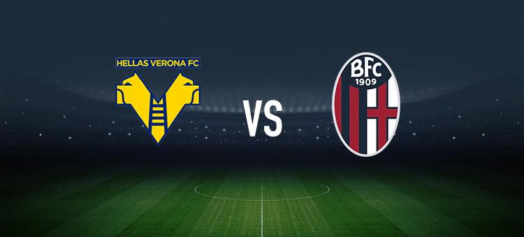 这不仅是体 这不仅是体